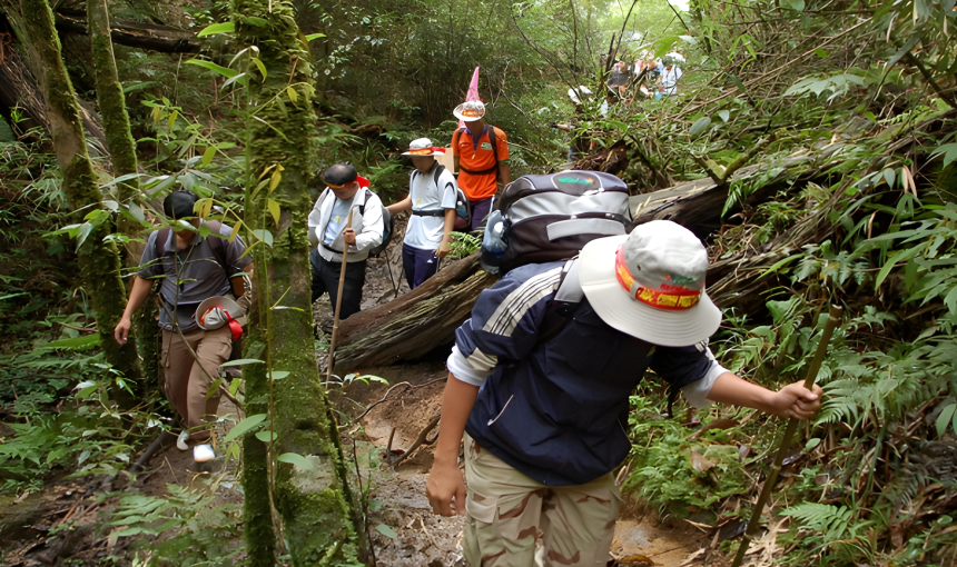 2-Day Trekking Tour: Discover Sapa’s Rice Terraces and Cultural Depths