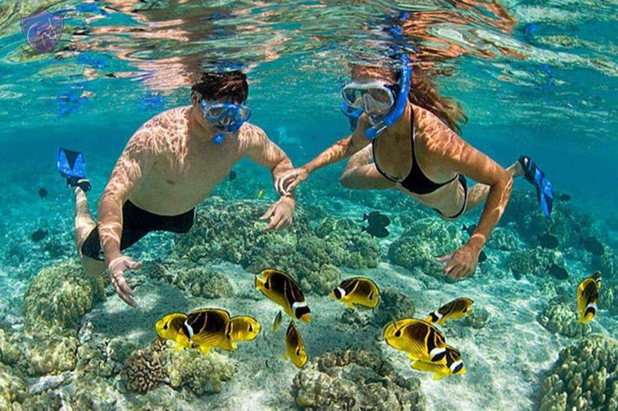 cham-island-snorkeling