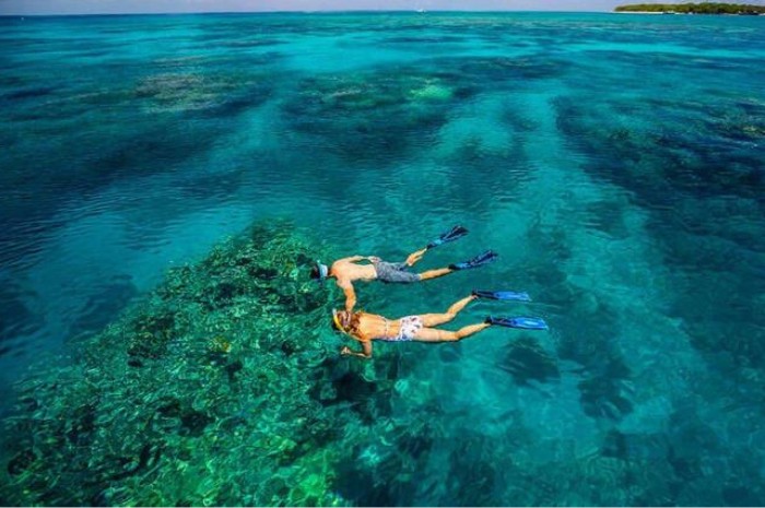 Cham Islands Snorkeling: An Unforgettable 1 Day Tour from Hoi An