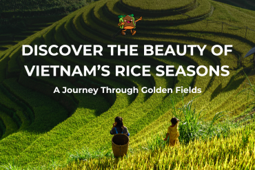 Vietnam’s Rice Seasons