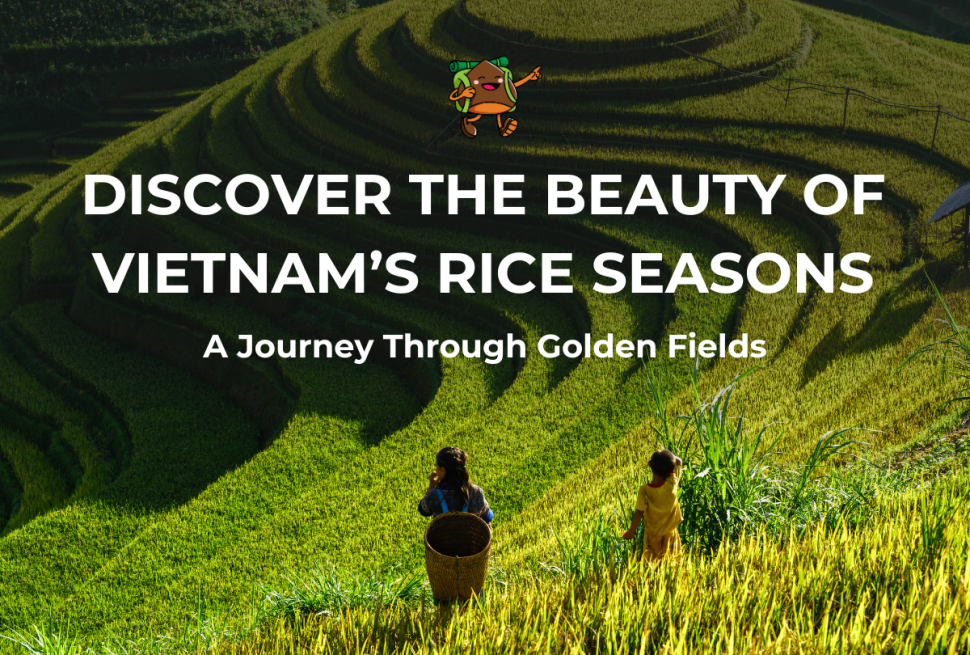 Vietnam’s Rice Seasons