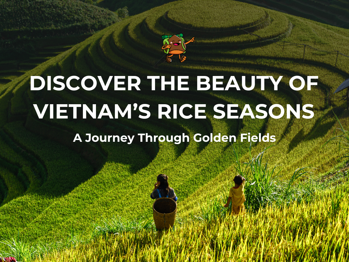 Vietnam’s Rice Seasons