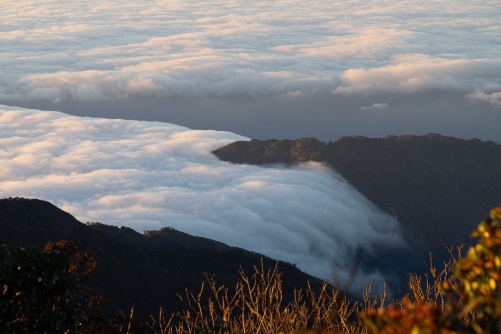 Ta Xua trekking