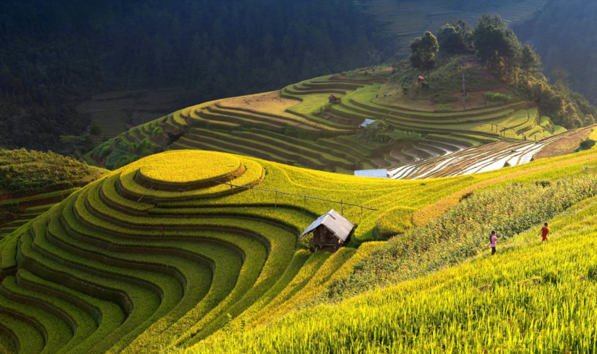 Mu Cang Chai 2 Days 1 Night Trekking Tour